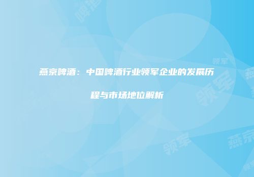 燕京啤酒：中国啤酒行业领军企业的发展历程与市场地位解析