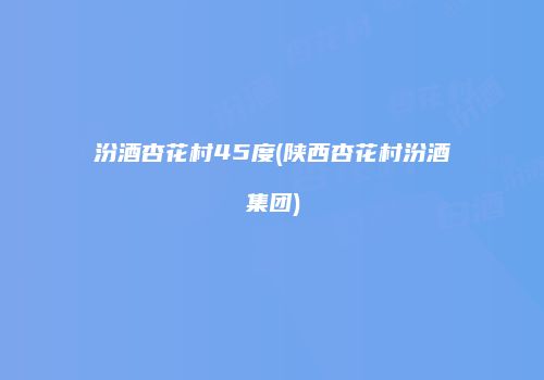 汾酒杏花村45度(陕西杏花村汾酒集团)