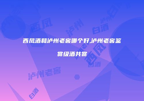 西凤酒和泸州老窖哪个好,泸州老窖鉴赏级酒共赏