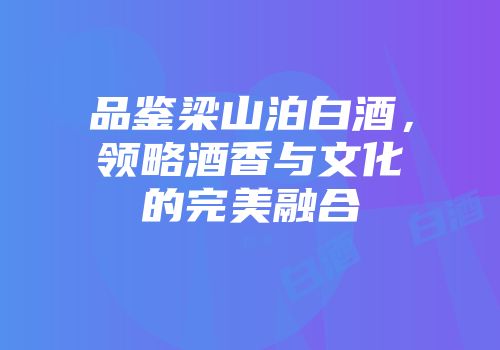 品鉴梁山泊白酒，领略酒香与文化的完美融合