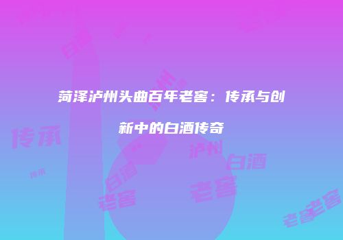 菏泽泸州头曲百年老窖：传承与创新中的白酒传奇