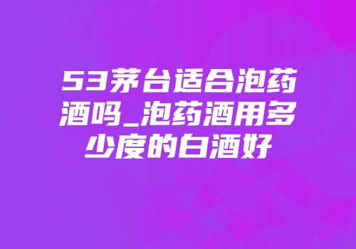 53茅台适合泡药酒吗_泡药酒用多少度的白酒好