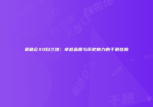 拿破仑XO白兰地：卓越品质与历史魅力的干邑佳酿