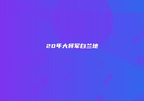 20年大将军白兰地
