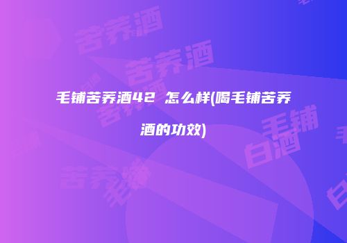 毛铺苦荞酒42℃怎么样(喝毛铺苦荞酒的功效)