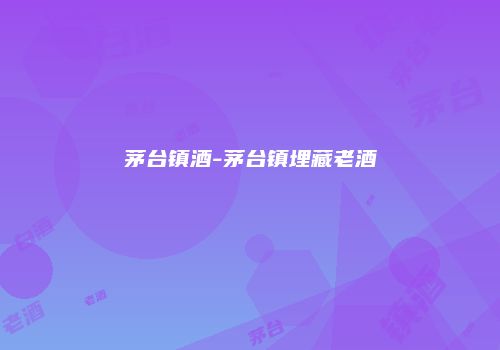 茅台镇酒-茅台镇埋藏老酒