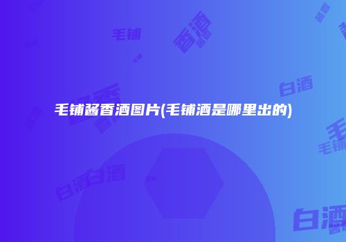 毛铺酱香酒图片(毛铺酒是哪里出的)
