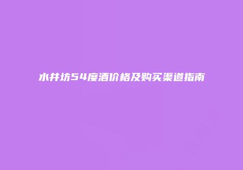 水井坊54度酒价格及购买渠道指南
