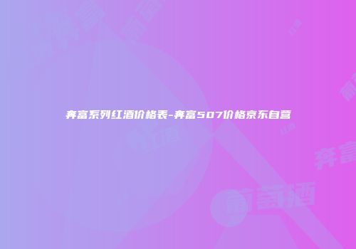 奔富系列红酒价格表-奔富507价格京东自营