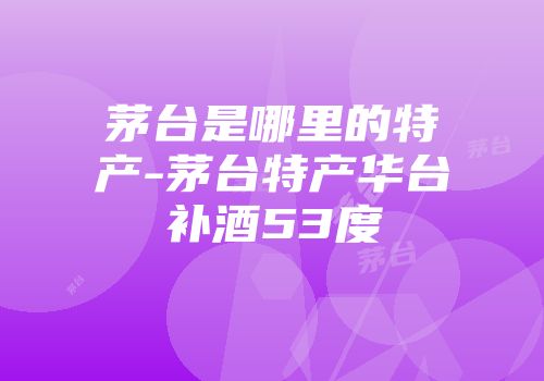 茅台是哪里的特产-茅台特产华台补酒53度