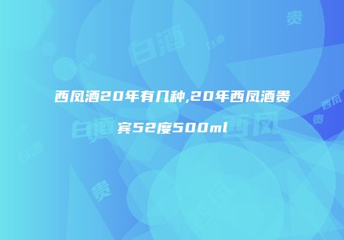 西凤酒20年有几种,20年西凤酒贵宾52度500ml