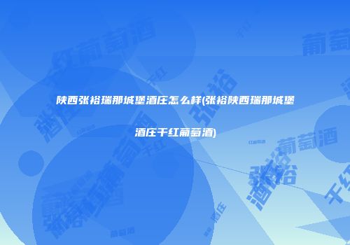 陕西张裕瑞那城堡酒庄怎么样(张裕陕西瑞那城堡酒庄干红葡萄酒)