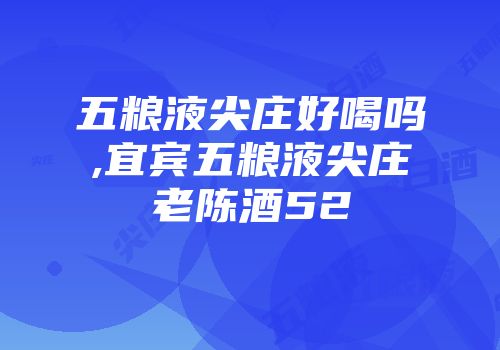 五粮液尖庄好喝吗,宜宾五粮液尖庄老陈酒52
