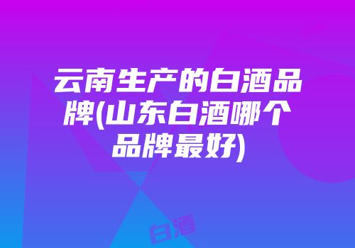 云南生产的白酒品牌(山东白酒哪个品牌最好)