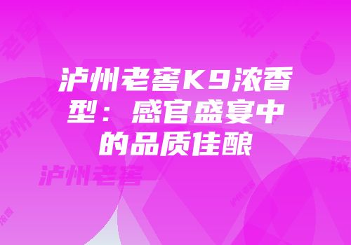 泸州老窖K9浓香型：感官盛宴中的品质佳酿