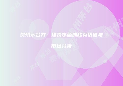 贵州茅台井：珍贵水源的稀有价值与市场分析