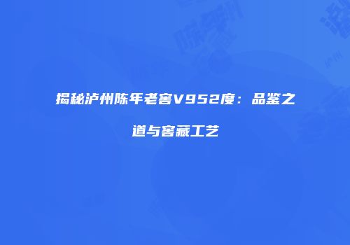 揭秘泸州陈年老窖V952度：品鉴之道与窖藏工艺