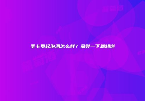 圣卡罗起泡酒怎么样？品尝一下就知道