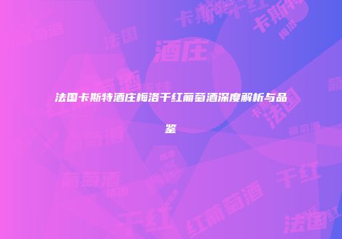 法国卡斯特酒庄梅洛干红葡萄酒深度解析与品鉴