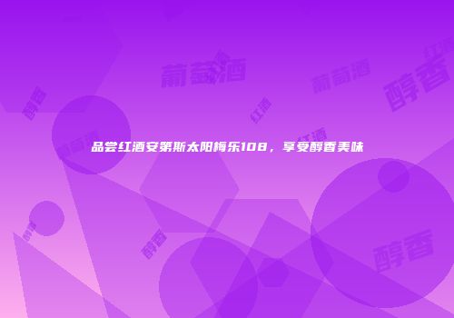 品尝红酒安第斯太阳梅乐108，享受醇香美味