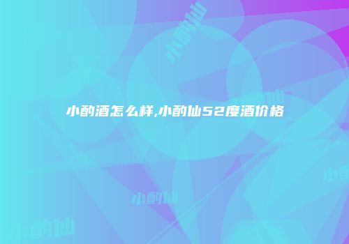 小酌酒怎么样,小酌仙52度酒价格