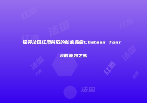 探寻法国红酒背后的秘密品尝Chateau Tour B的美妙之旅