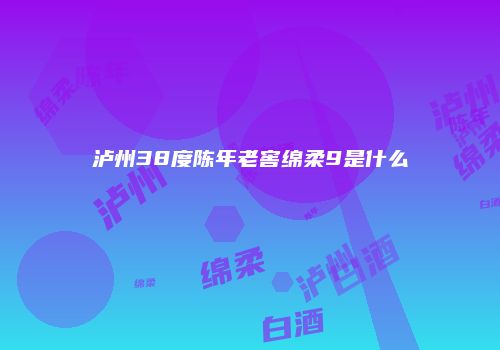 泸州38度陈年老窖绵柔9是什么