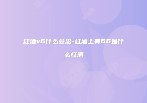 红酒v6什么意思-红酒上有66是什么红酒