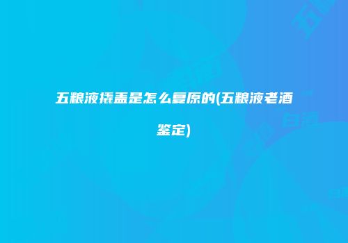 五粮液撬盖是怎么复原的(五粮液老酒鉴定)