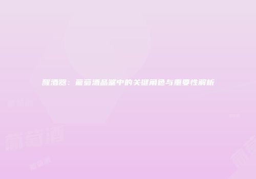 醒酒器：葡萄酒品鉴中的关键角色与重要性解析