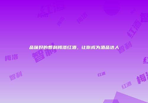 品味好的智利梅洛红酒，让你成为酒品达人