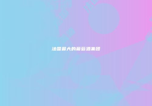 法国最大的葡萄酒集团