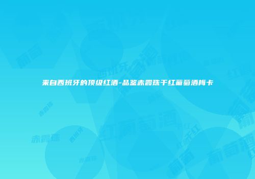 来自西班牙的顶级红酒-品鉴赤霞珠干红葡萄酒梅卡