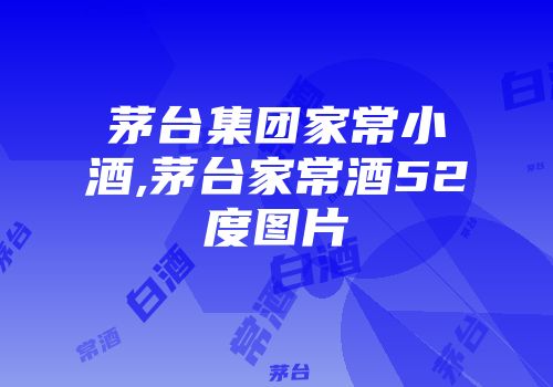 茅台集团家常小酒,茅台家常酒52度图片