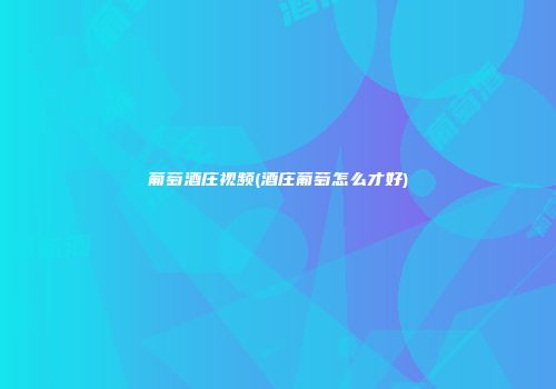 葡萄酒庄视频(酒庄葡萄怎么才好)