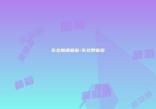 东北酿酒葡萄-东北野葡萄