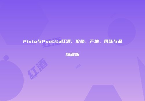 Pinto与Puntita红酒：价格、产地、风味与品牌解析
