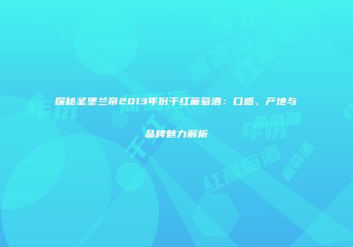 探秘圣堡兰帝2013年份干红葡萄酒：口感、产地与品牌魅力解析