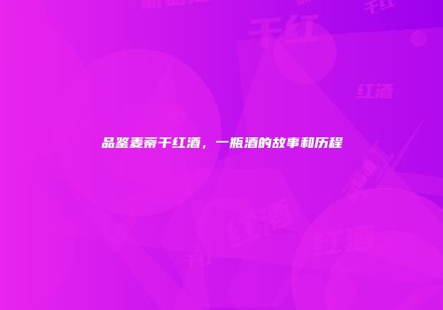 品鉴麦蒂干红酒，一瓶酒的故事和历程