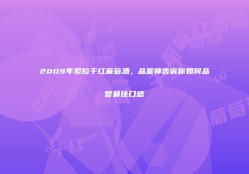 2009年索拉干红葡萄酒，品鉴师告诉你如何品尝最佳口感