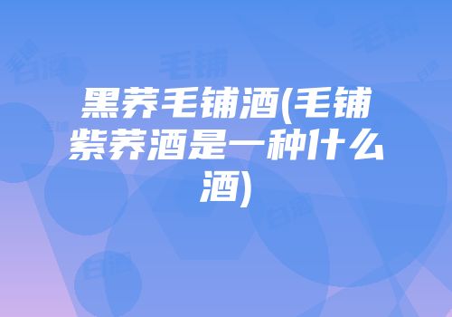黑荞毛铺酒(毛铺紫荞酒是一种什么酒)