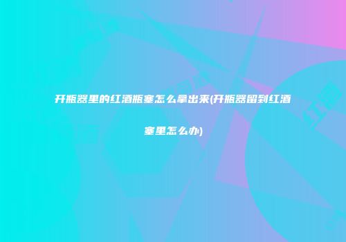 开瓶器里的红酒瓶塞怎么拿出来(开瓶器留到红酒塞里怎么办)