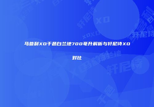 马爹利XO干邑白兰地700毫升解析与轩尼诗XO对比