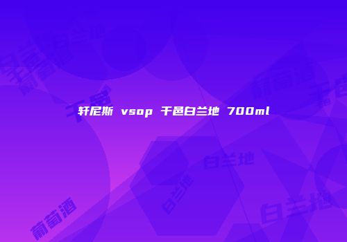 轩尼斯 vsop 干邑白兰地 700ml