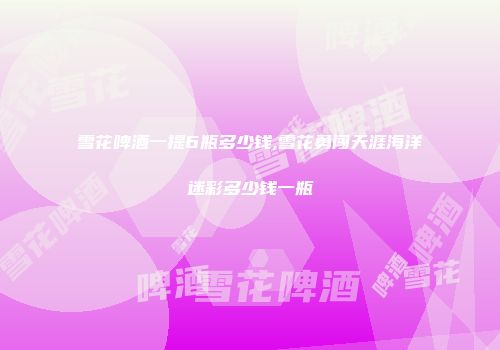 雪花啤酒一提6瓶多少钱,雪花勇闯天涯海洋迷彩多少钱一瓶