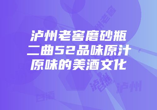 泸州老窖磨砂瓶二曲52品味原汁原味的美酒文化