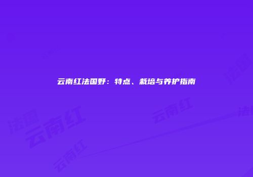 云南红法国野：特点、栽培与养护指南