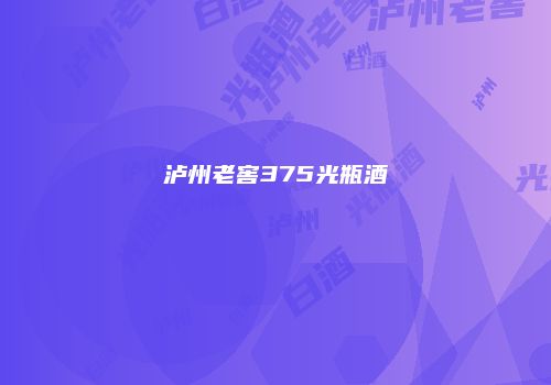 泸州老窖375光瓶酒
