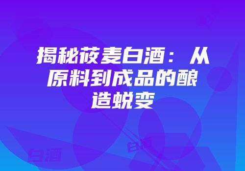 揭秘莜麦白酒：从原料到成品的酿造蜕变