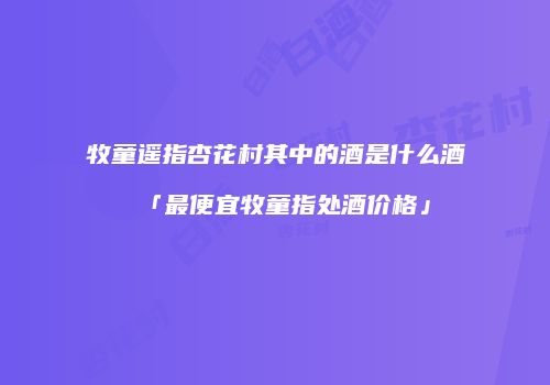 牧童遥指杏花村其中的酒是什么酒「最便宜牧童指处酒价格」